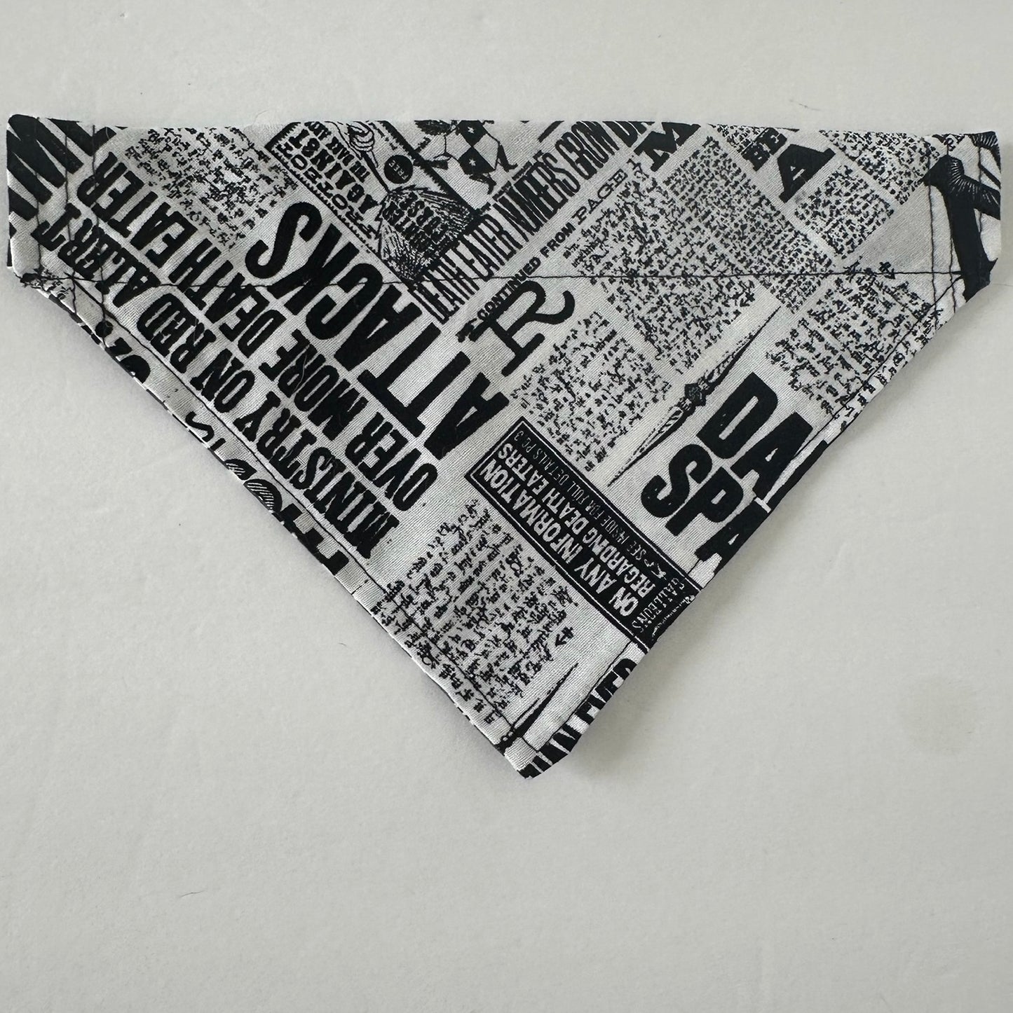 Wizard Newspaper Reversible Pet Bandana