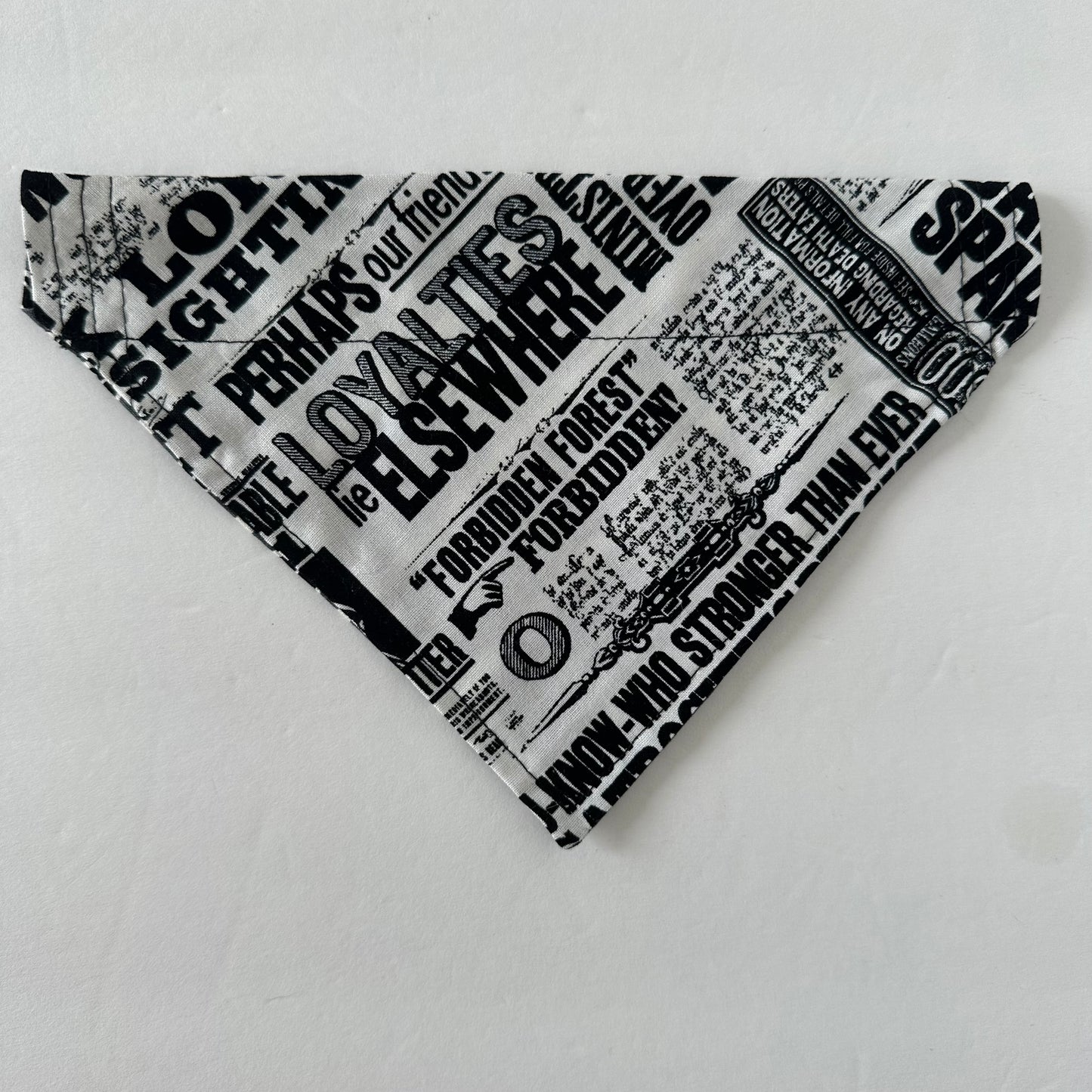 Wizard Newspaper Reversible Pet Bandana