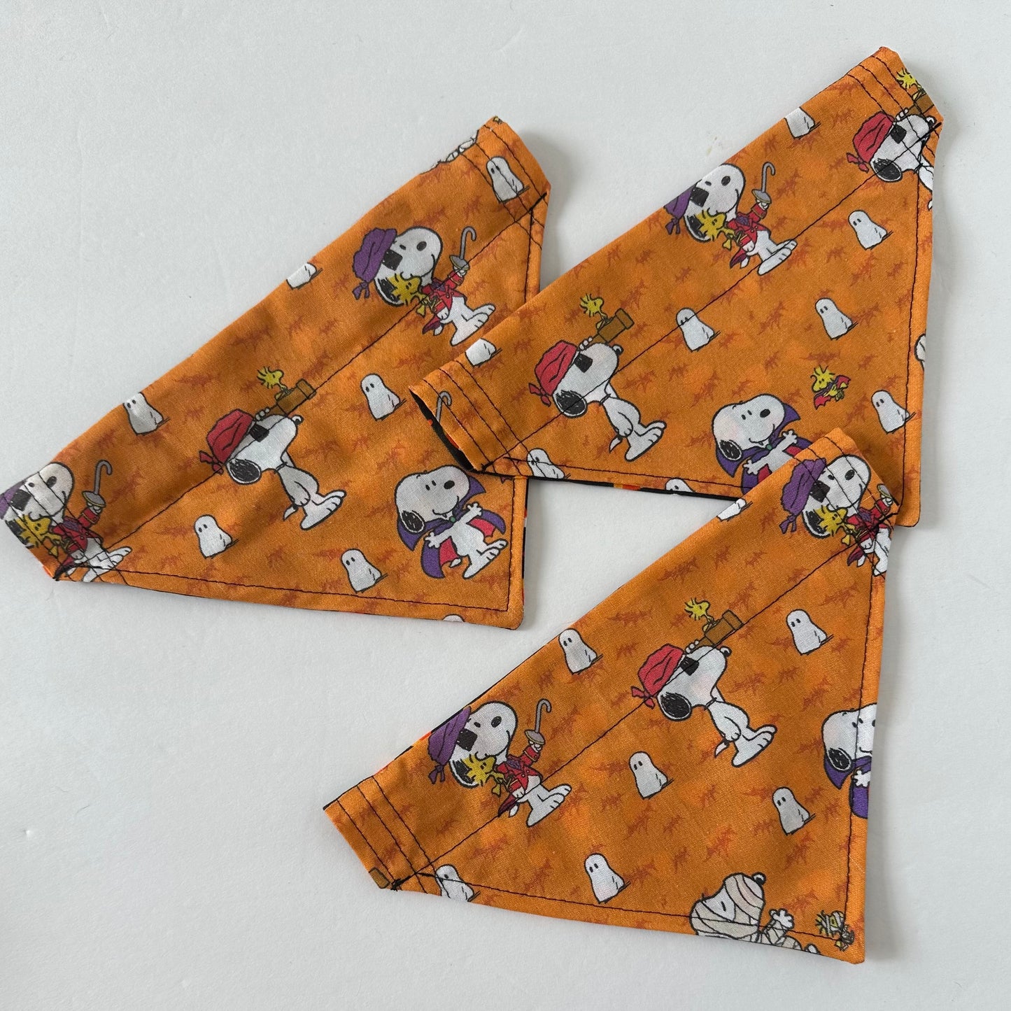 Costume Reversible Pet Bandana