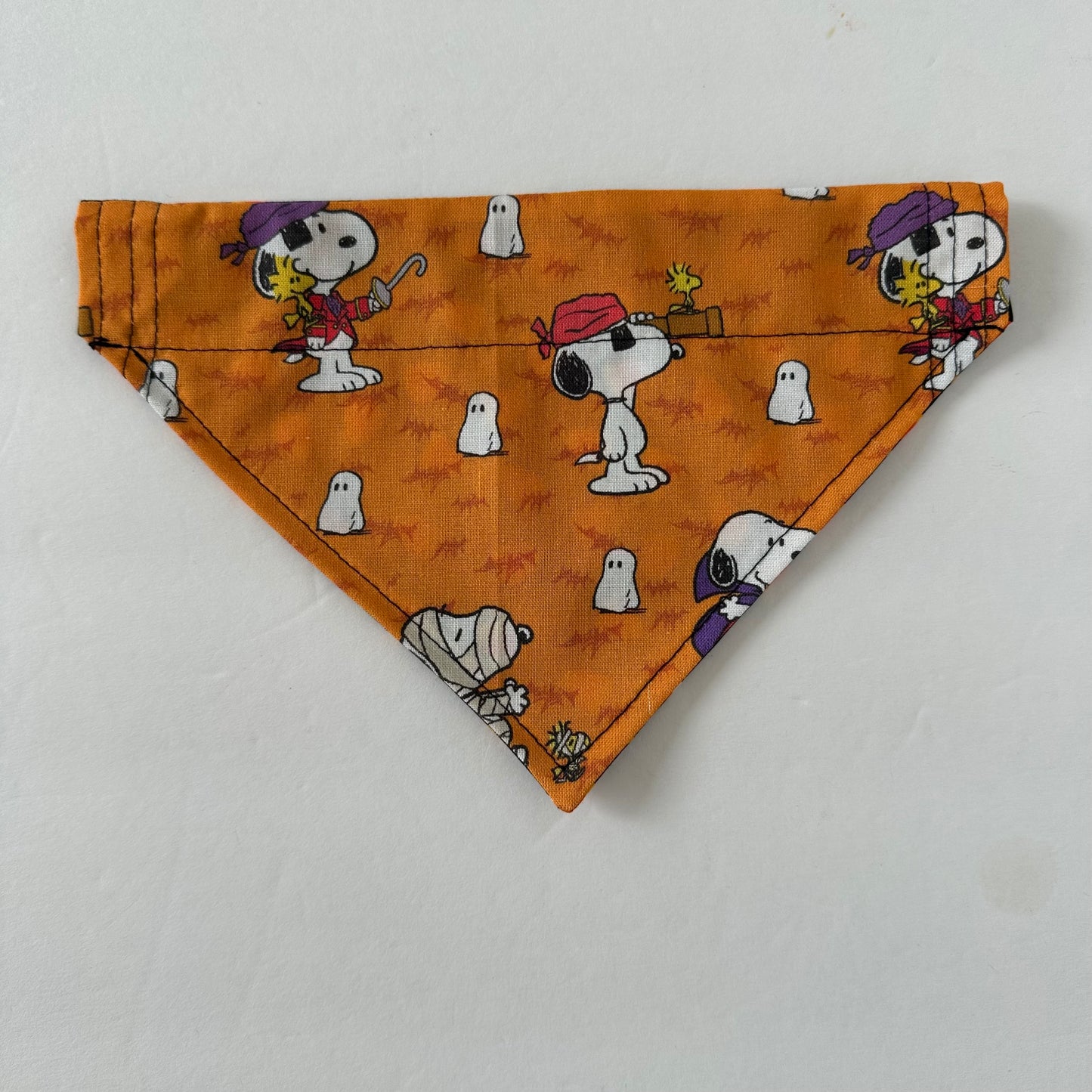Costume Reversible Pet Bandana