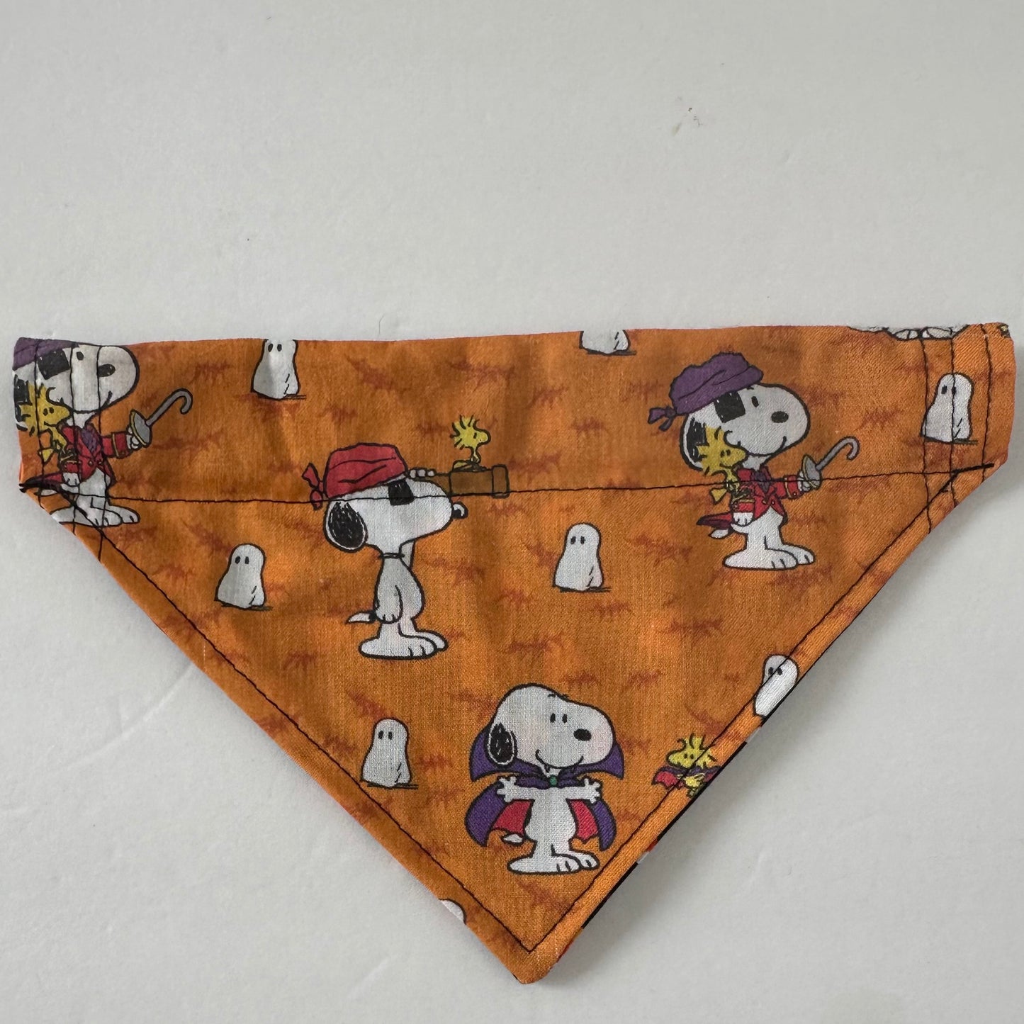 Costume Reversible Pet Bandana