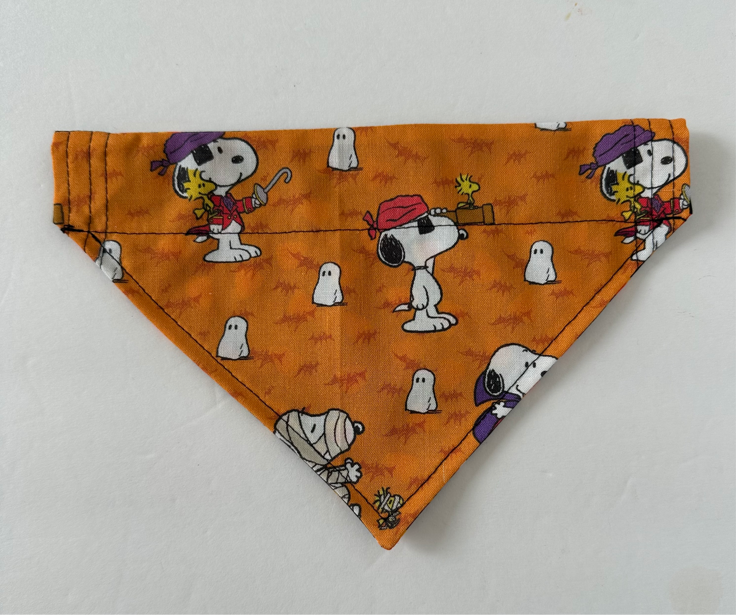 Costume Reversible Pet Bandana