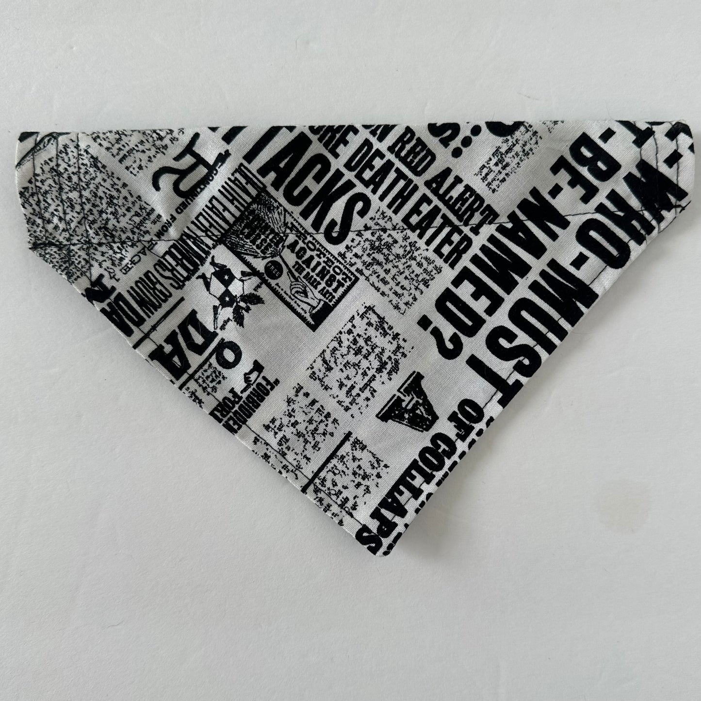 Wizard Newspaper Reversible Pet Bandana