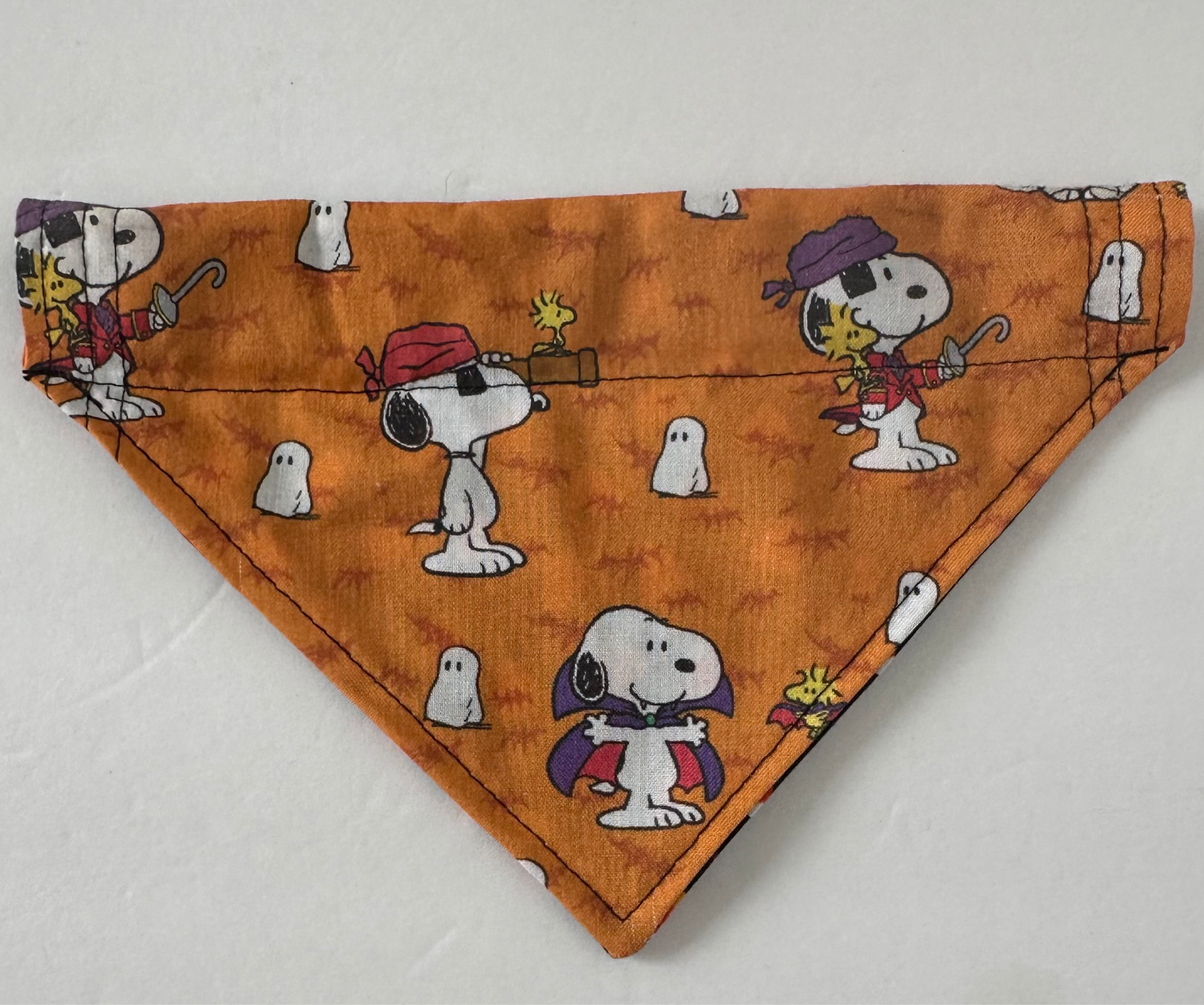 Costume Reversible Pet Bandana