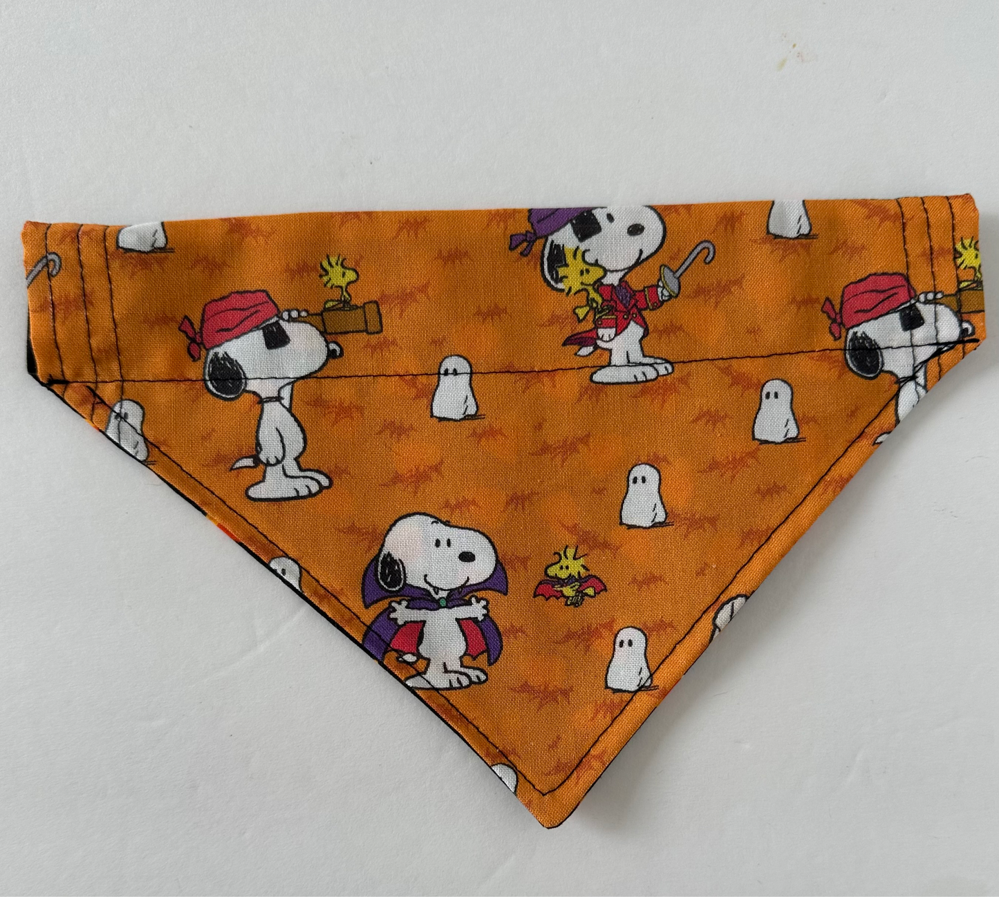 Costume Reversible Pet Bandana
