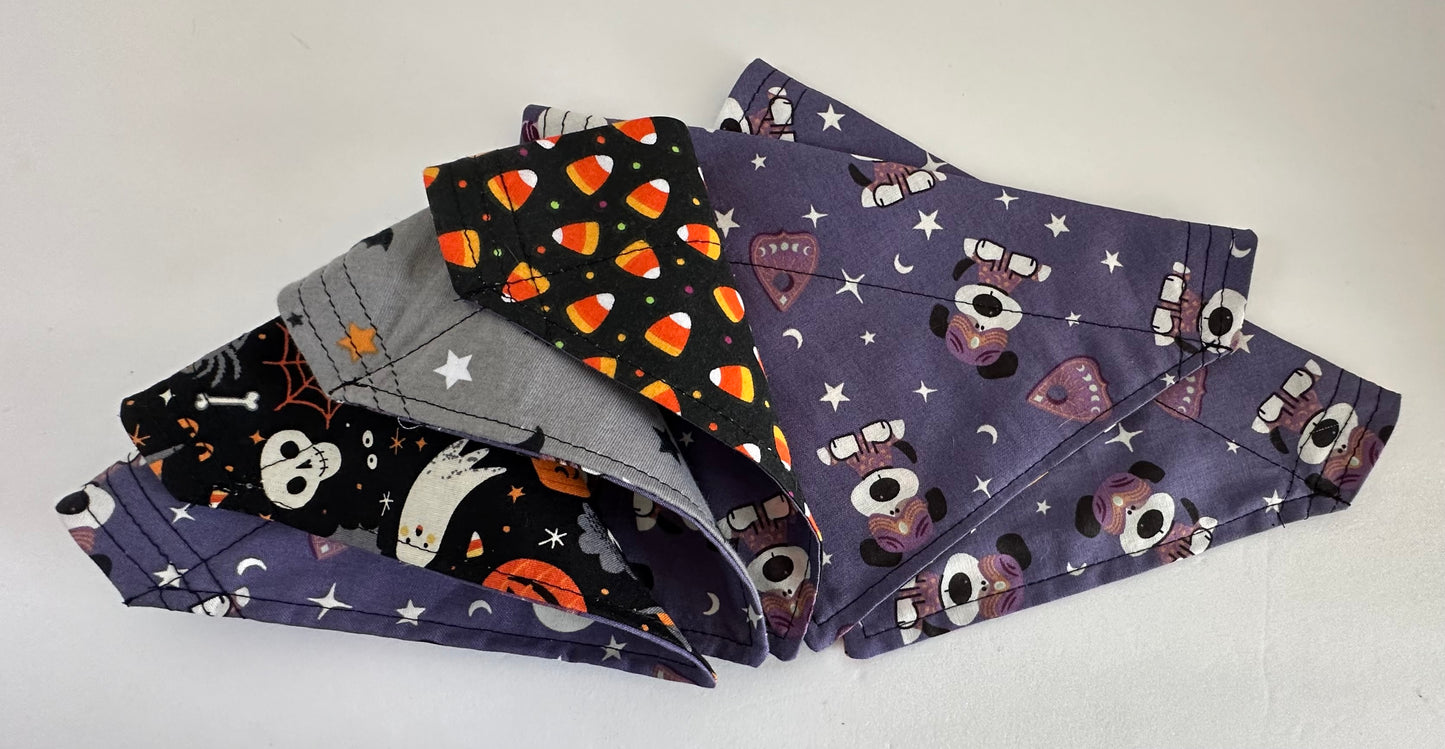 Fortune Teller Reversible Pet Bandana