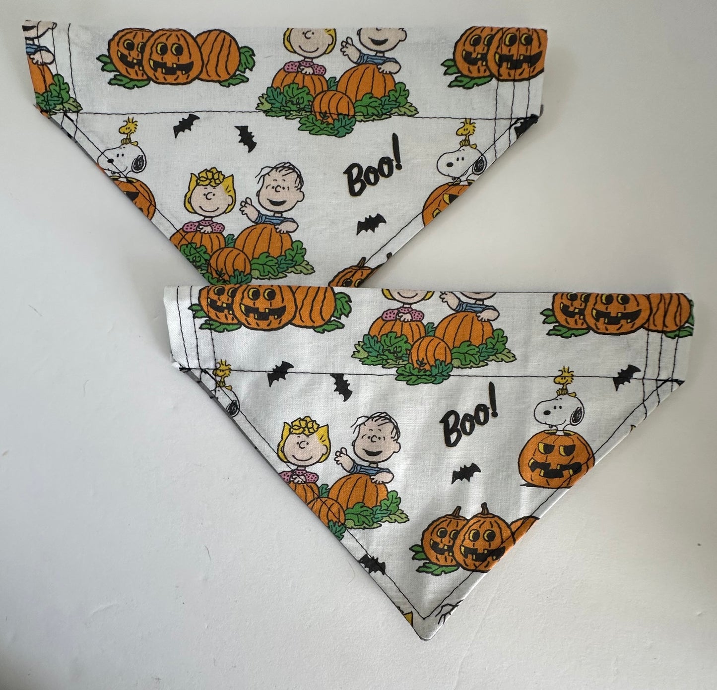 Boo! Reversible Pet Bandana