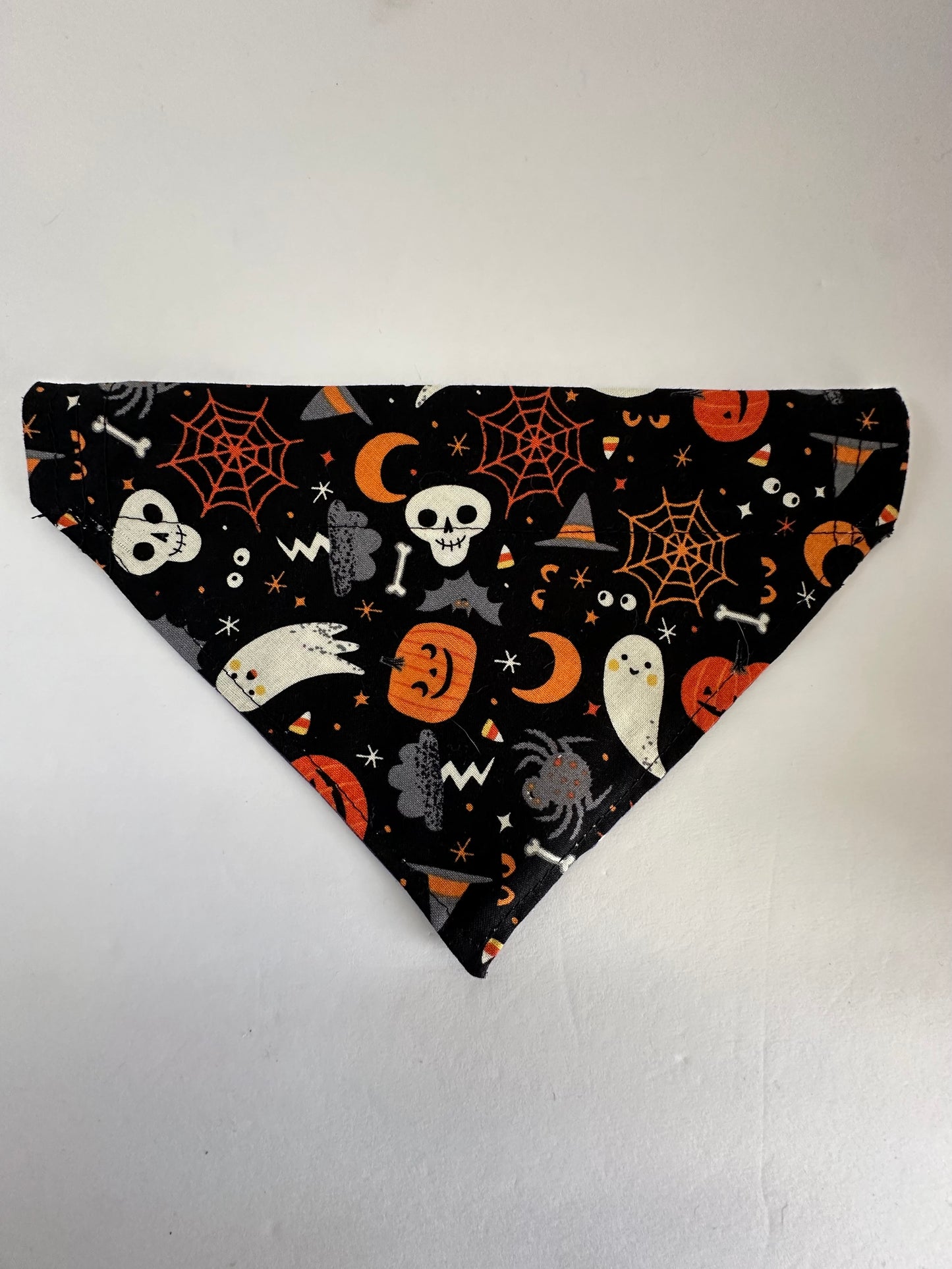 Fortune Teller Reversible Pet Bandana