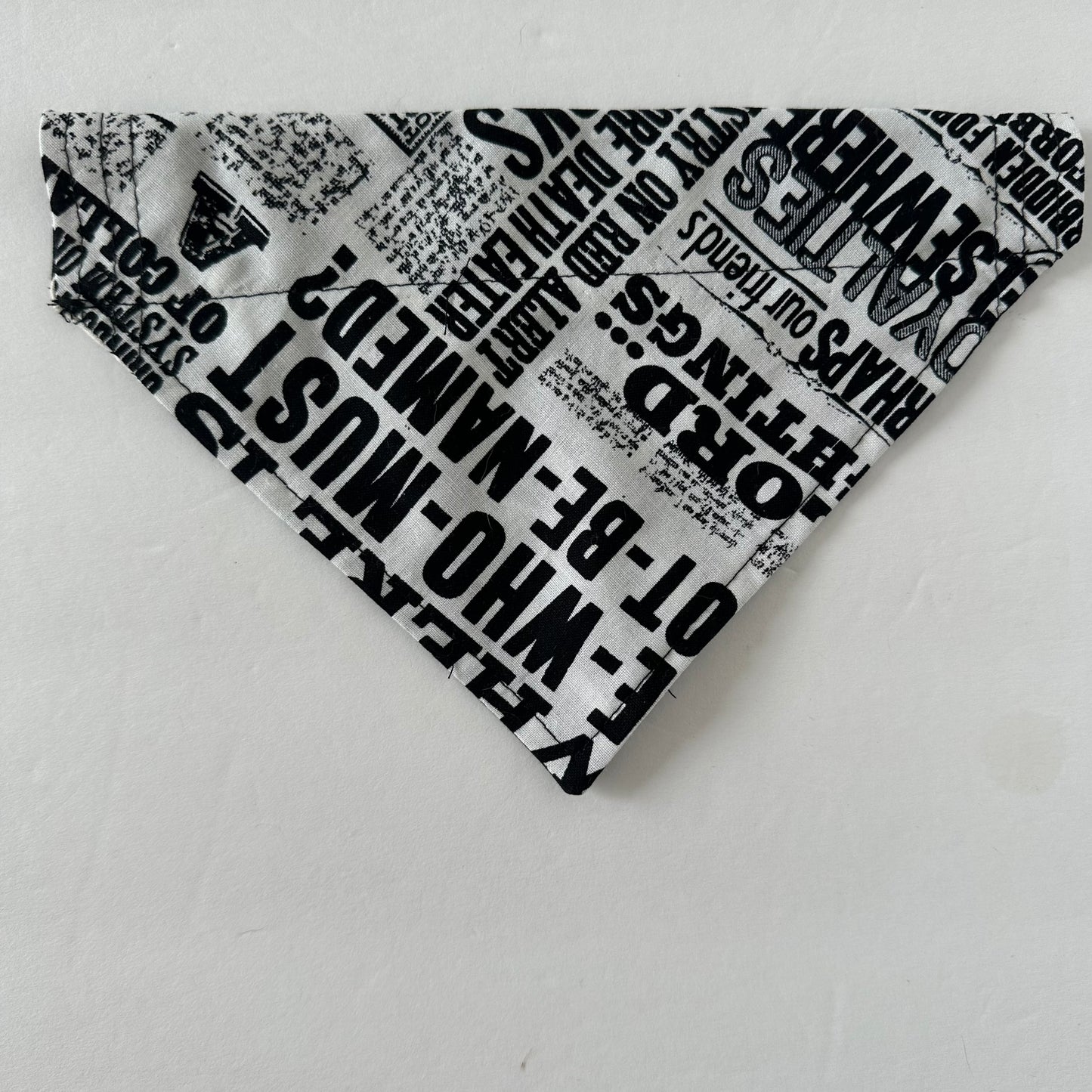 Wizard Newspaper Reversible Pet Bandana