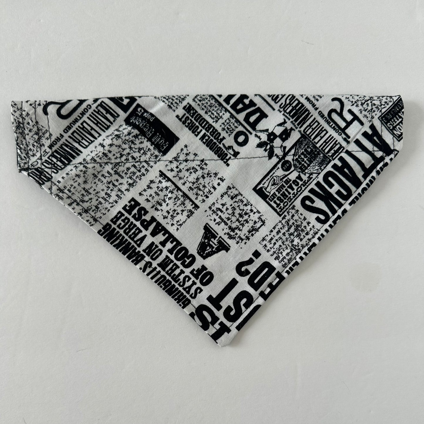 Wizard Newspaper Reversible Pet Bandana