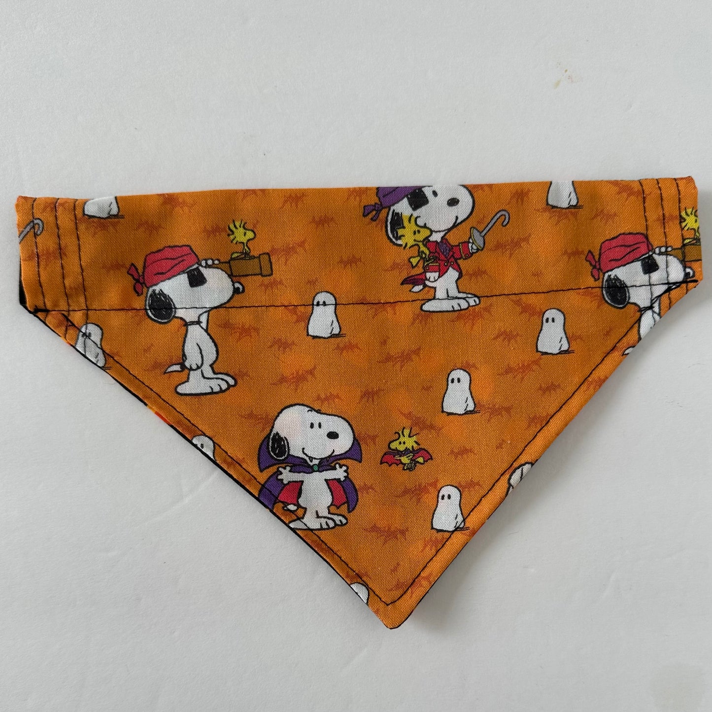 Costume Reversible Pet Bandana