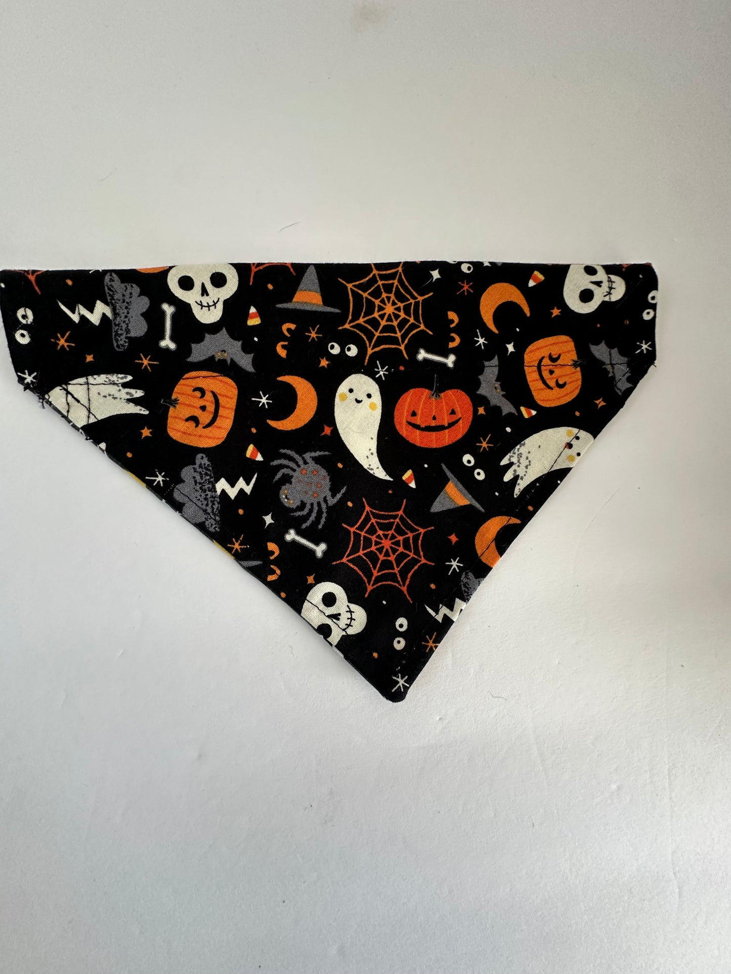 Witchy Reversible Pet Bandana