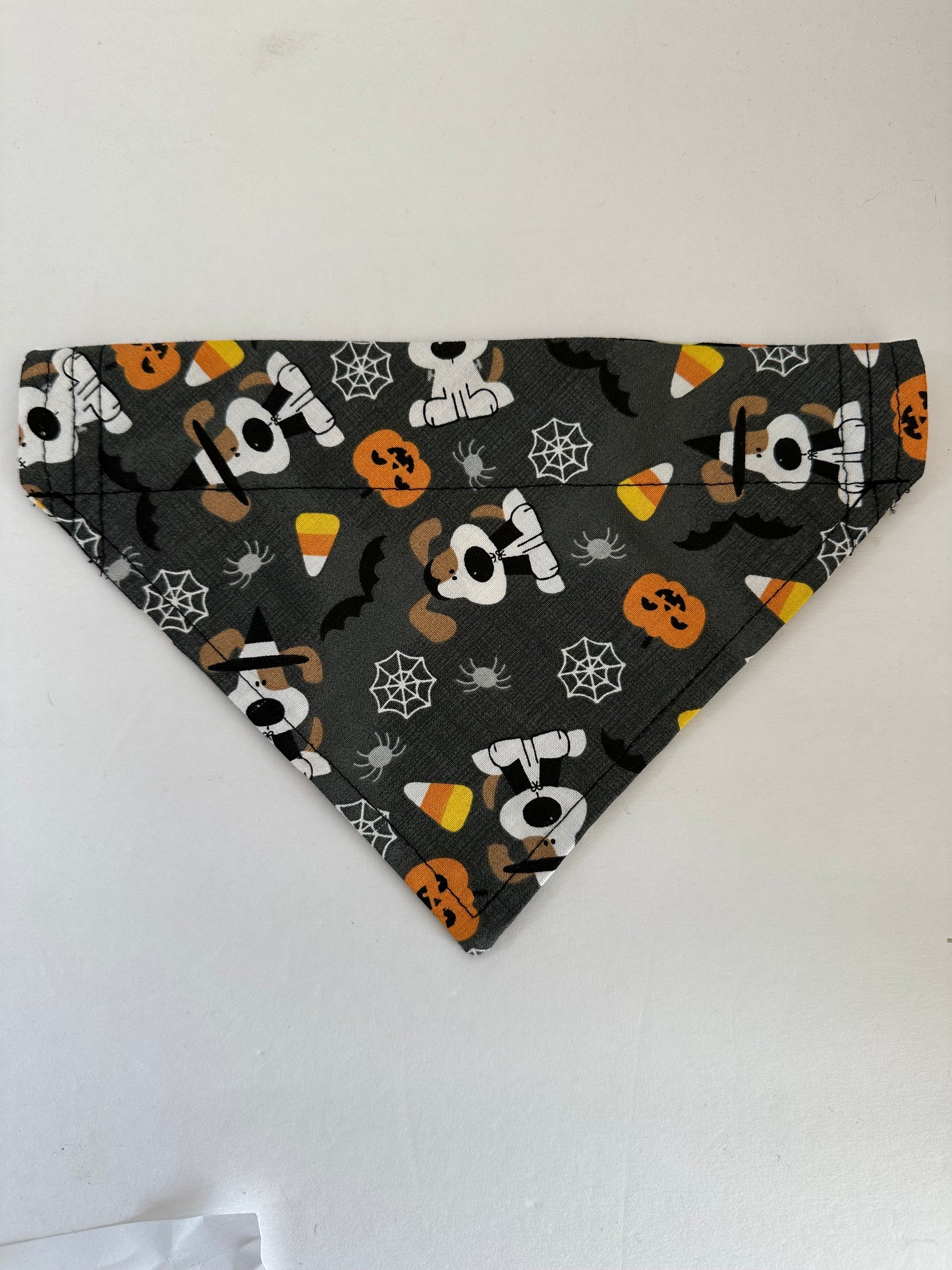 Witchy Reversible Pet Bandana