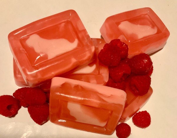 Basset Hound Fruity-Swirl Soap