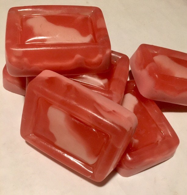 Basset Hound Fruity-Swirl Soap