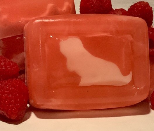 Basset Hound Fruity-Swirl Soap