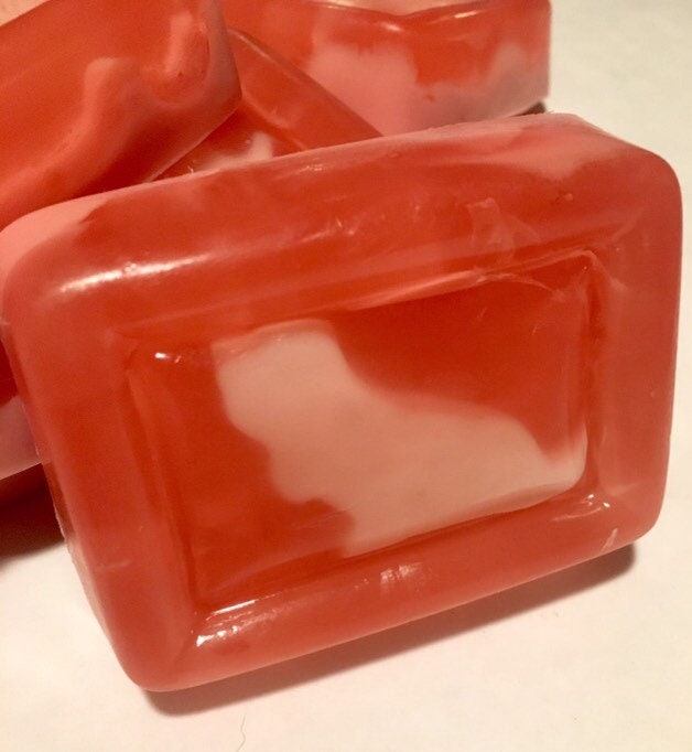 Basset Hound Fruity-Swirl Soap