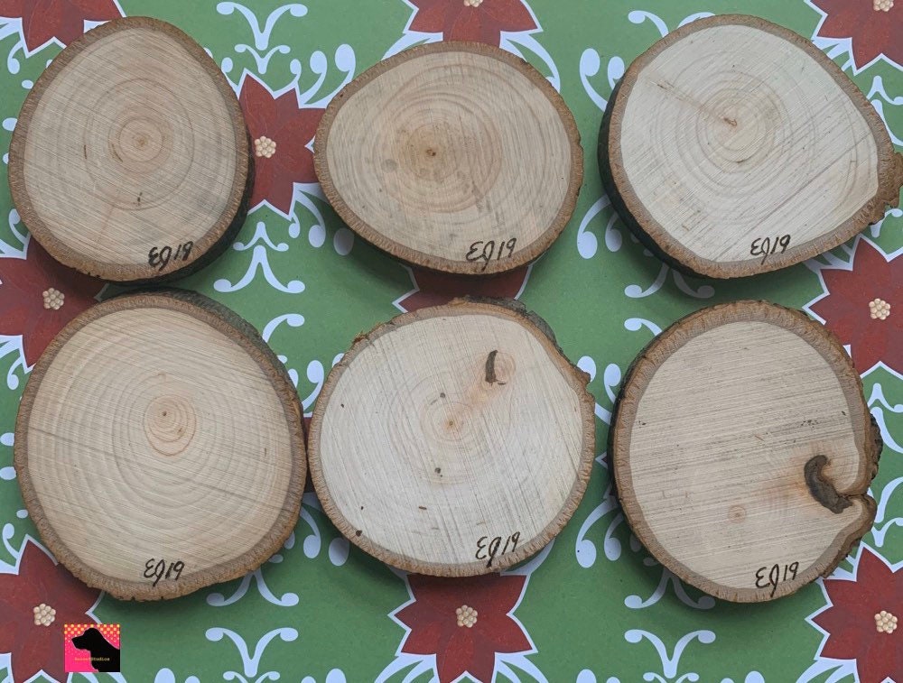 Snow Pup Wood-slice Ornaments